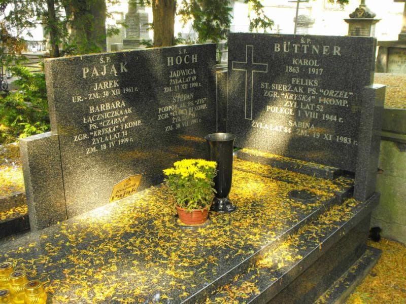 Zdjęcie grobu Karol Buttner (1)