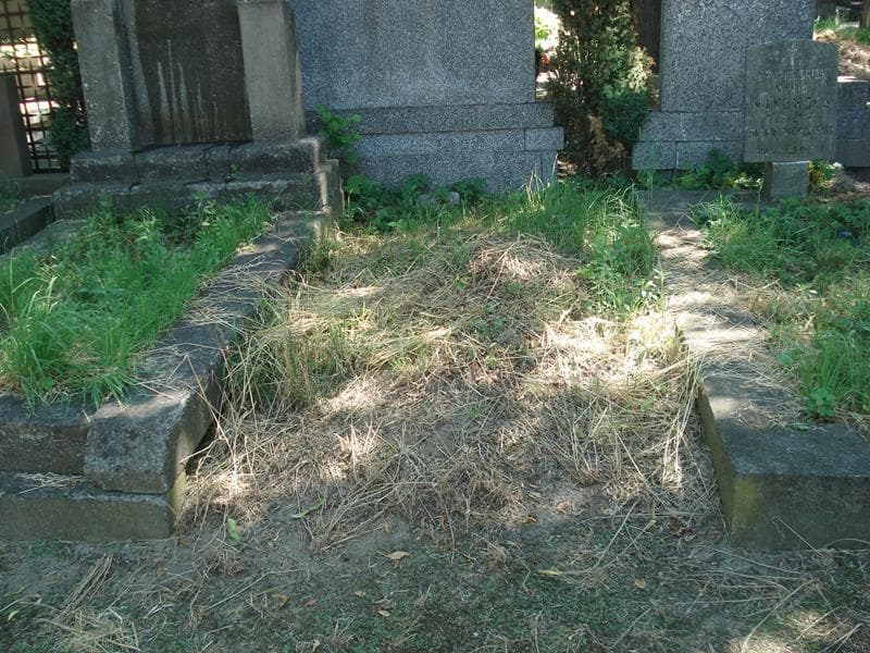 Zdjęcie grobu: Pole Grobowe