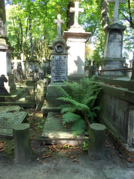 Zdjęcie grobu: Józef Pliszczak
