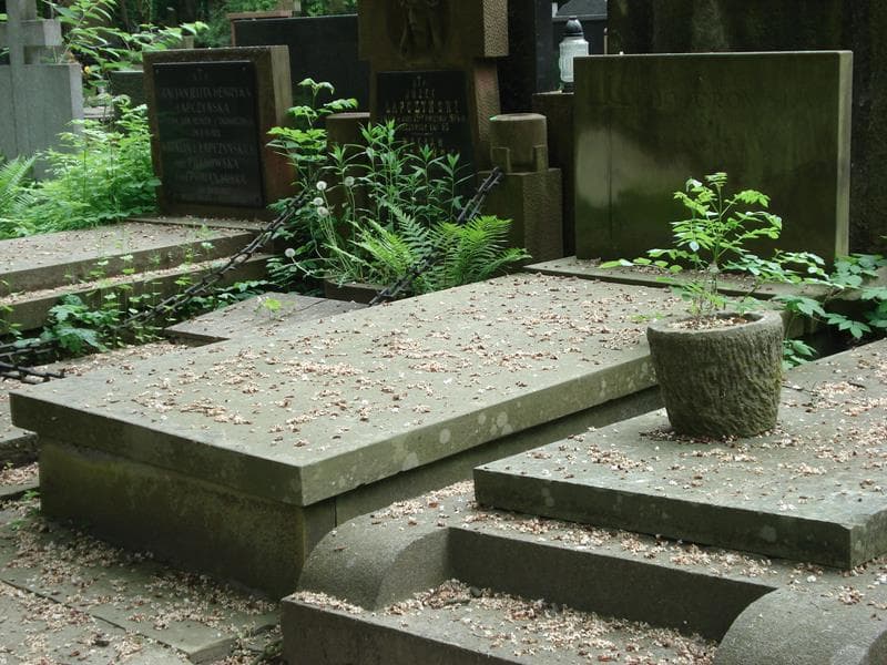 Zdjęcie grobu Władysław Budek (1)