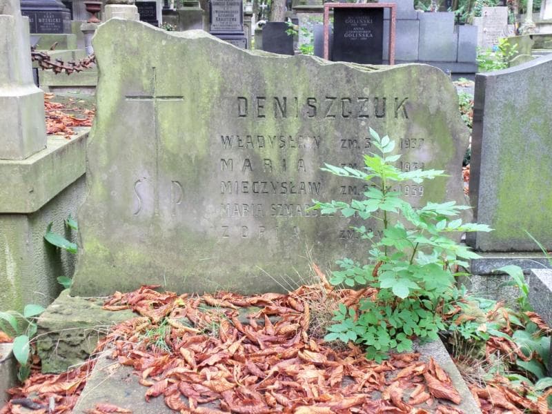 Zdjęcie grobu Władysław Deniszczuk (2)