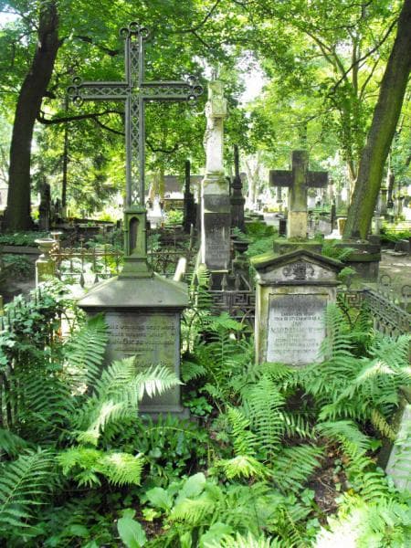 Zdjęcie grobu Marja Lewandowska (1)