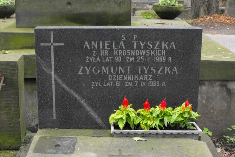 Zdjęcie grobu Aniela Tyszka (2)
