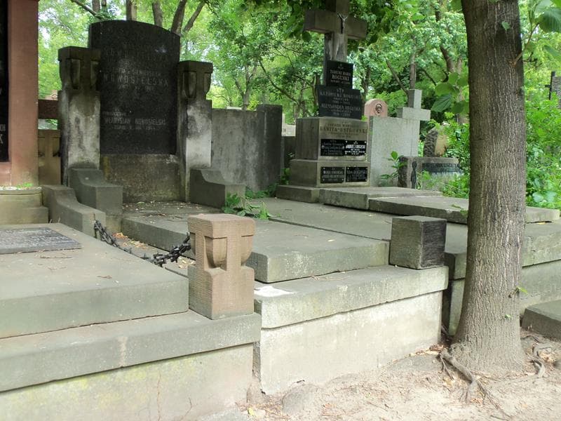 Zdjęcie grobu Władysław Nowosielski (1)