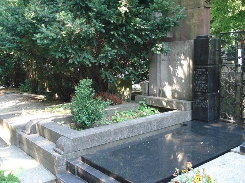 Zdjęcie grobu Leon Hyk (1)