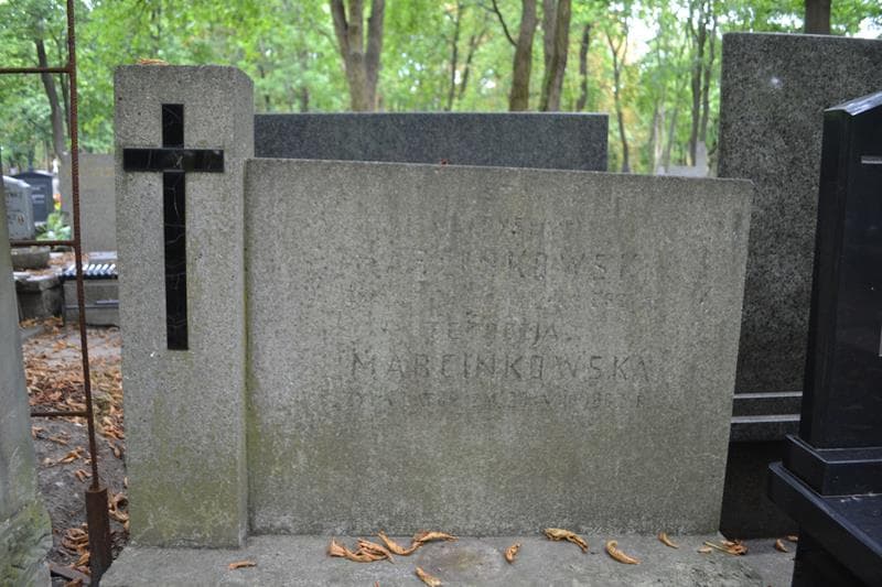 Zdjęcie grobu Teodozja Marcinkowska (2)