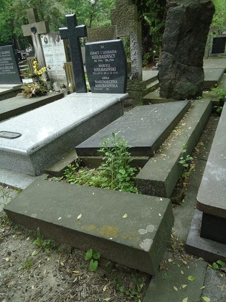 Zdjęcie grobu Antonina Goldringowa (1)
