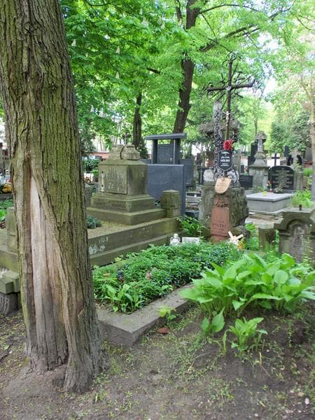 Zdjęcie grobu Henryk Wolski (1)