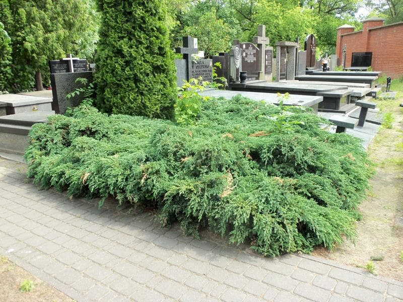 Zdjęcie grobu Pole Grobowe (1)