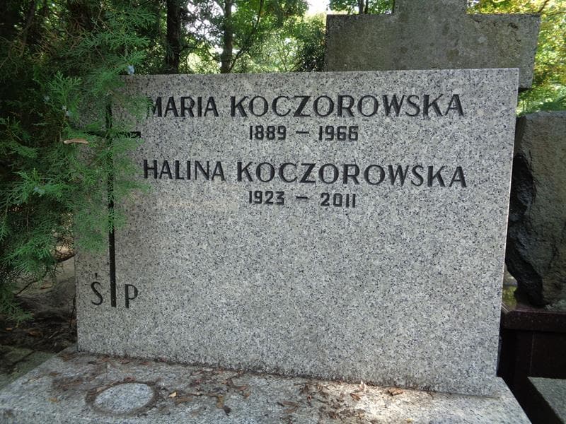 Zdjęcie grobu Maria Koczorowska (2)