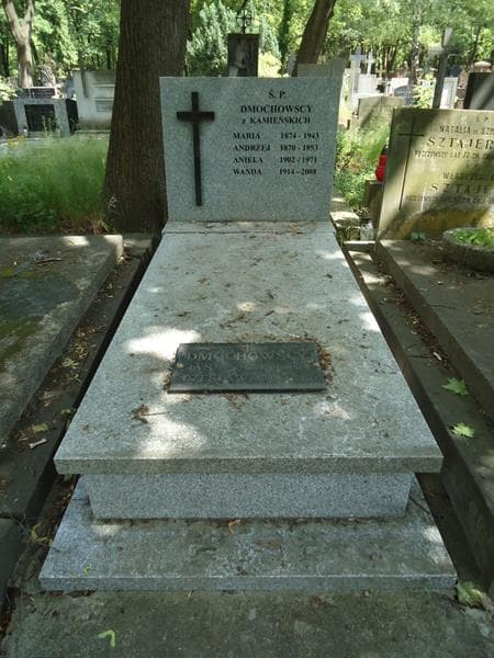 Zdjęcie grobu: Czesław Dmochowski