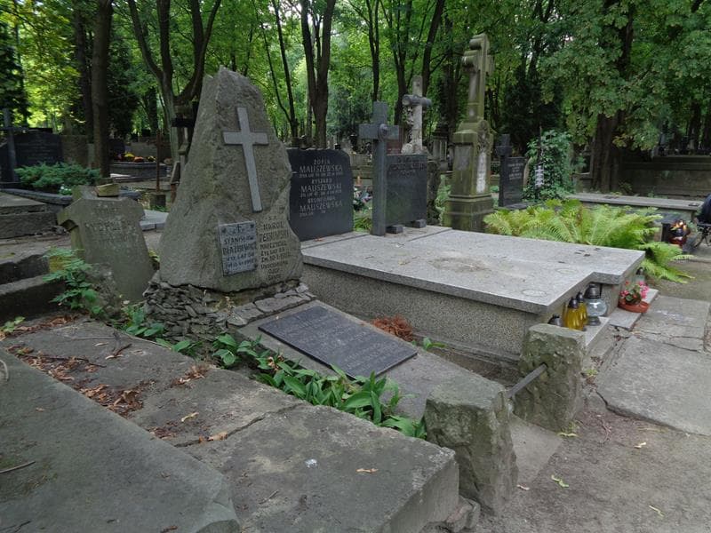 Zdjęcie grobu: Karol Perkowski