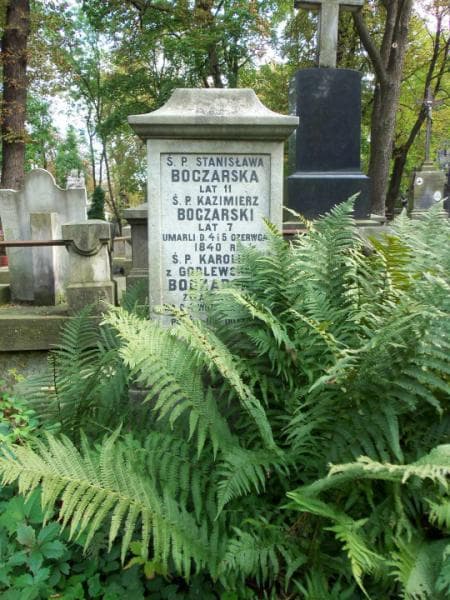 Zdjęcie grobu Kazimierz Boczarski (1)