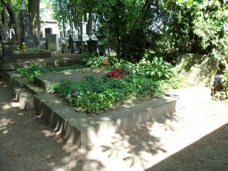 Zdjęcie grobu Henryk Woyciechowski (1)