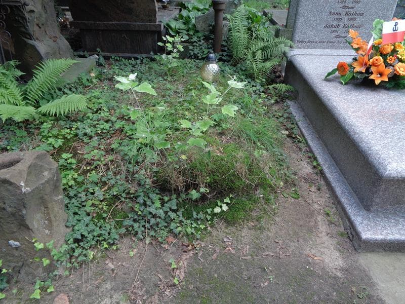 Zdjęcie grobu: Pole Grobowe