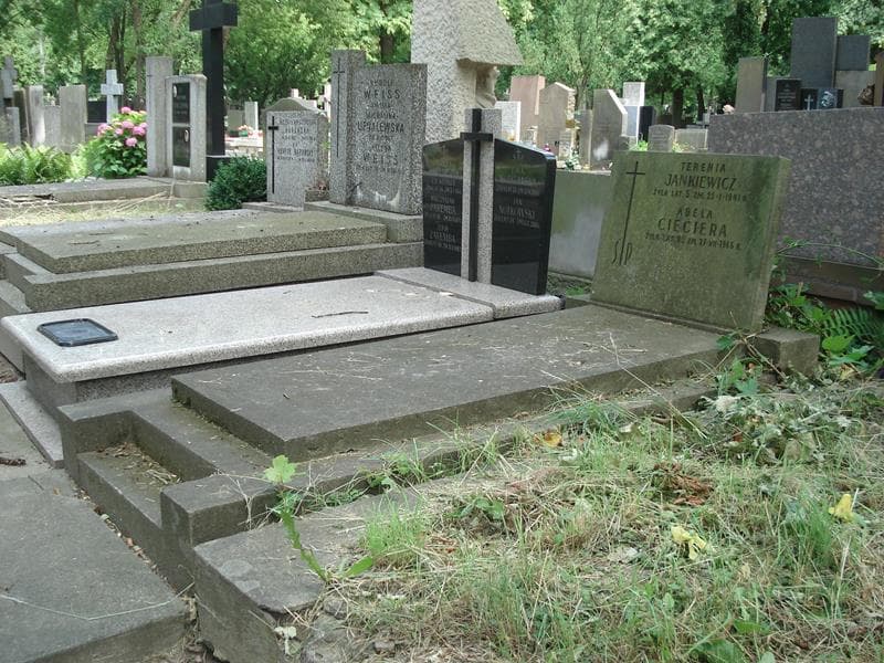Zdjęcie grobu: Terenia Jankiewicz