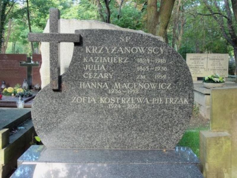 Zdjęcie grobu Kazimierz Krzyżanowski (2)
