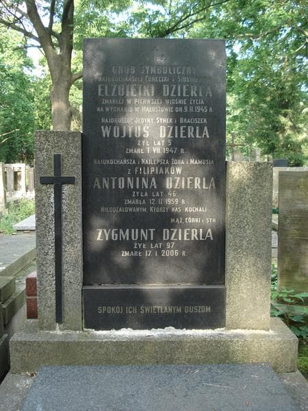 Zdjęcie grobu Antonina Dzierla (2)