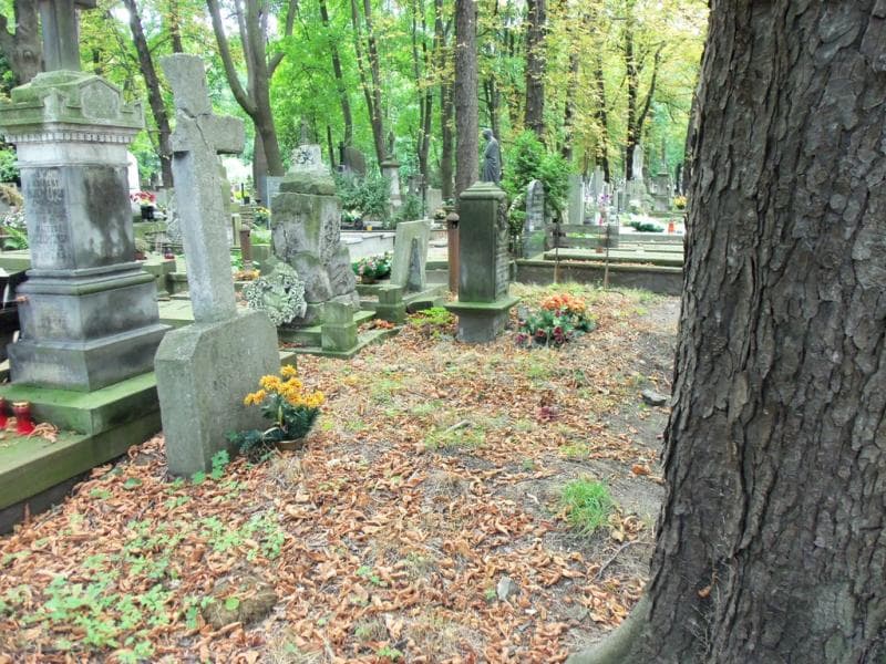 Zdjęcie grobu Zofia Brygier (2)