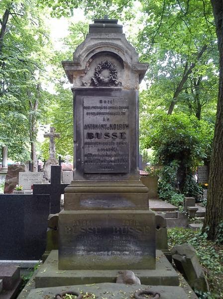 Zdjęcie grobu Antonina Busse (2)