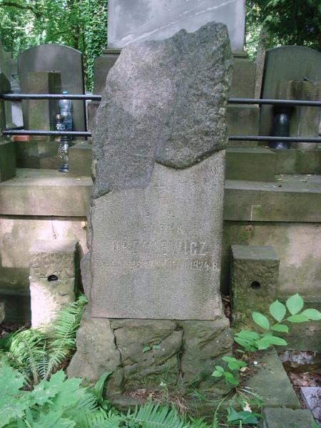 Zdjęcie grobu Henryk Dromlewicz (2)