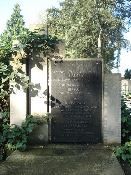 Zdjęcie grobu Jan Białecki (2)