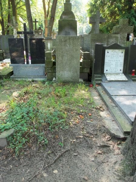 Zdjęcie grobu: Marya Kozłowska