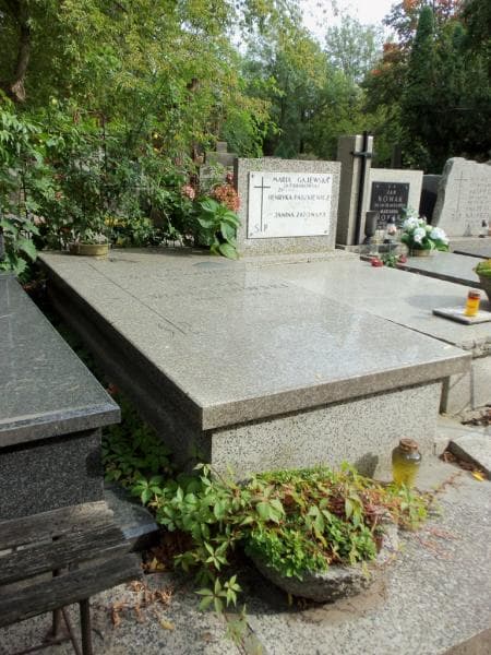Zdjęcie grobu Zofia Wójcikowska (1)