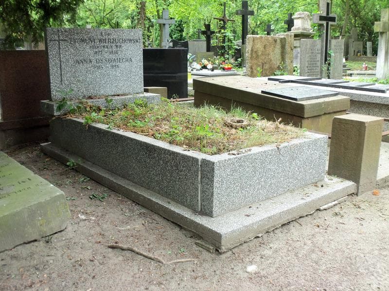 Zdjęcie grobu Anna Ossowiecka (1)