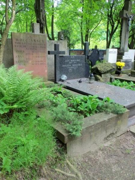 Zdjęcie grobu Zofia Wołczyńska (1)