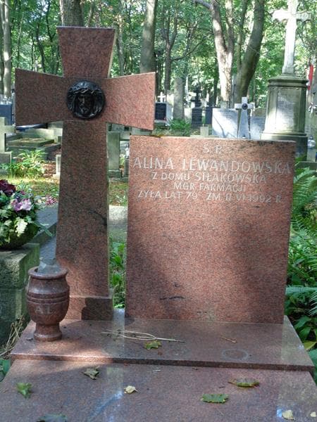 Zdjęcie grobu Alina Lewandowska (2)