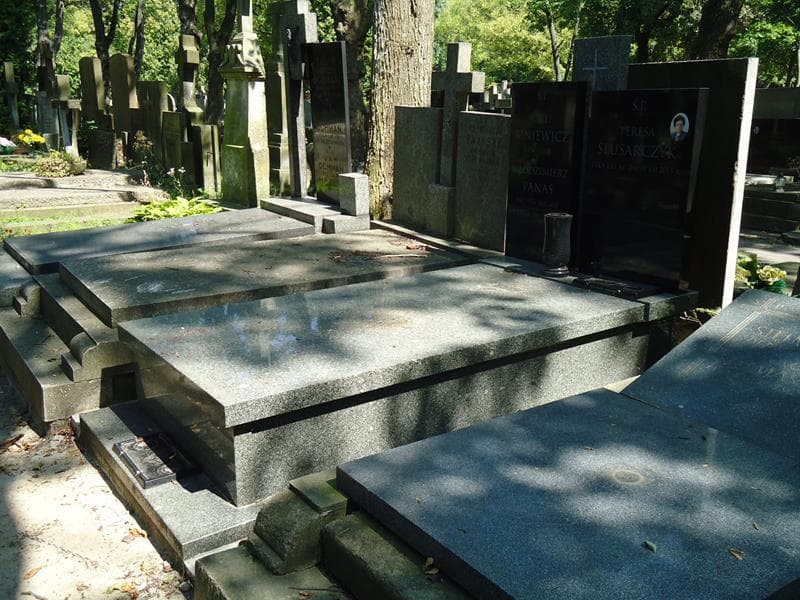 Zdjęcie grobu Józef Biniewicz (1)