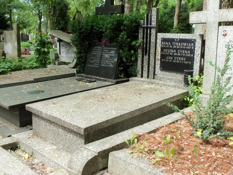 Zdjęcie grobu Anna Tynkowska (1)
