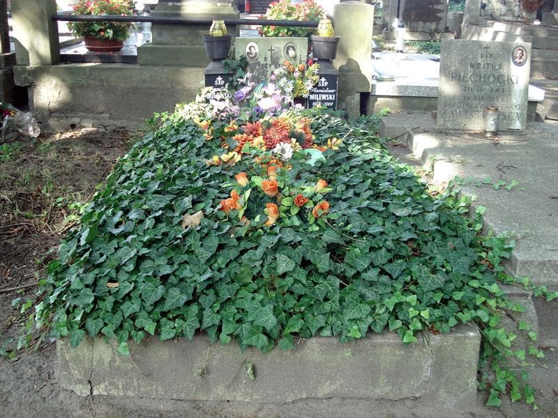 Zdjęcie grobu Karolina Milewska (1)