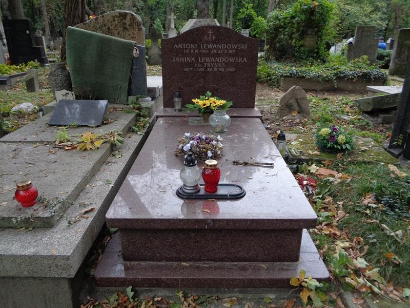 Zdjęcie grobu Janina Lewandowska (1)
