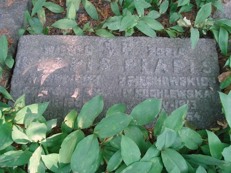 Zdjęcie grobu Witold Plapis (2)