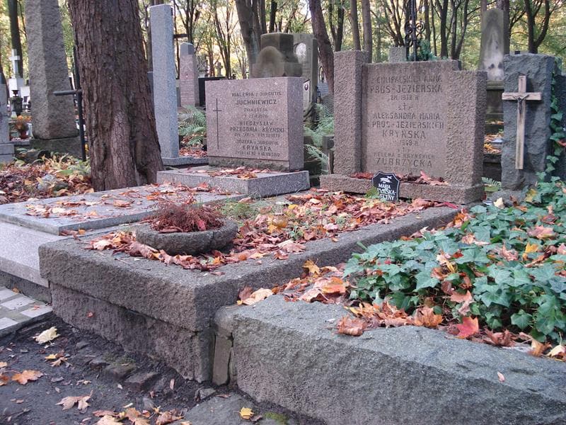 Zdjęcie grobu Maria Kryńska-Sweceńy (1)