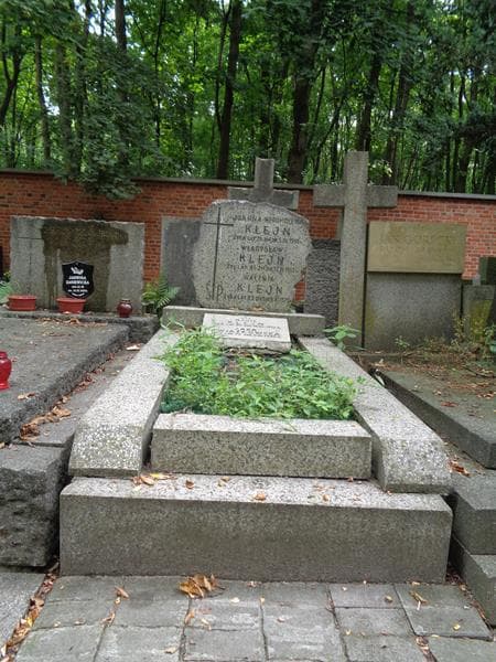 Zdjęcie grobu Maria Klejn (1)