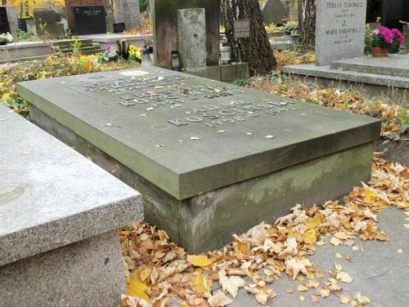 Zdjęcie grobu Stanisława Tarnowska (2)