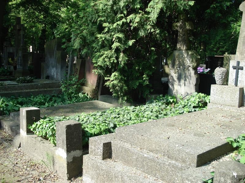 Zdjęcie grobu Stanisław Beski (1)