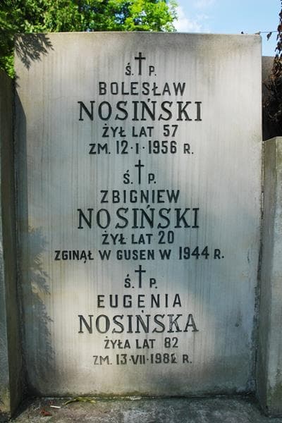 Zdjęcie grobu Eugenia Nosińska (2)