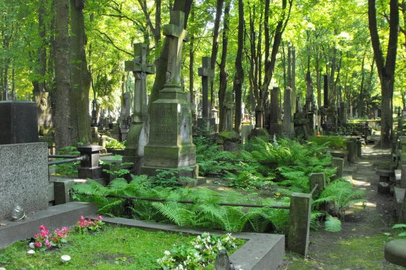 Zdjęcie grobu: Stanisław Lubaczewski