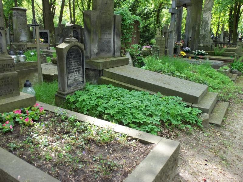 Zdjęcie grobu Władysław Osuchowski (1)