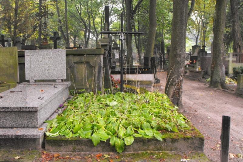 Zdjęcie grobu: Anonim