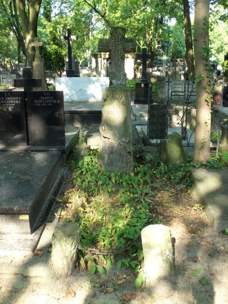 Zdjęcie grobu Zygmunt Albert (1)