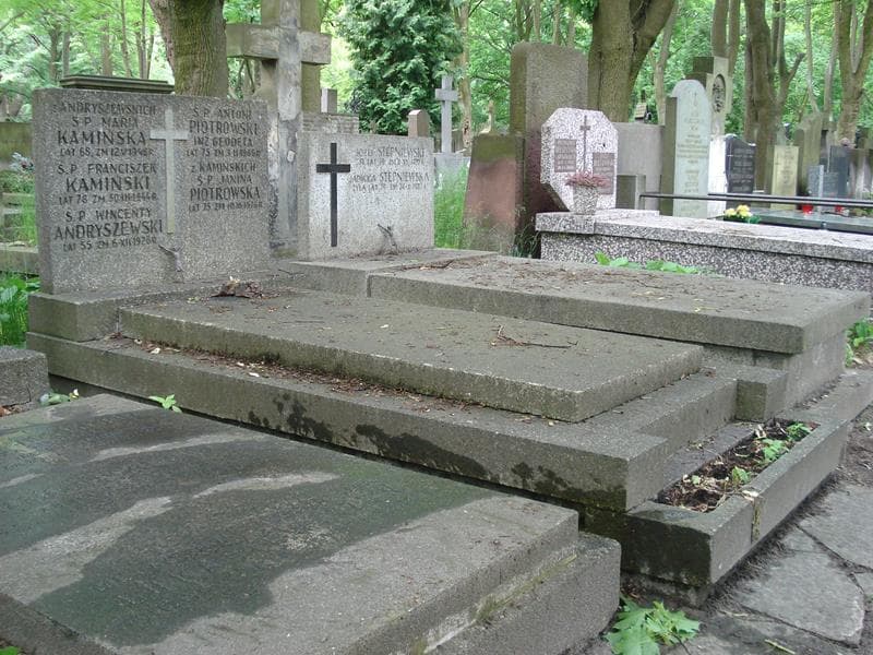 Zdjęcie grobu Antoni Piotrowski (1)