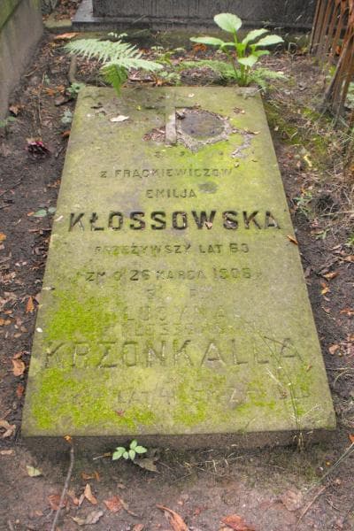 Zdjęcie grobu Lucyna Krzonkalla (1)