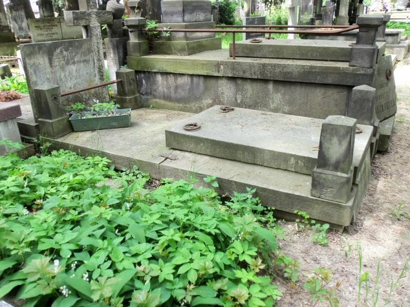 Zdjęcie grobu Stanisława Stępińska (1)