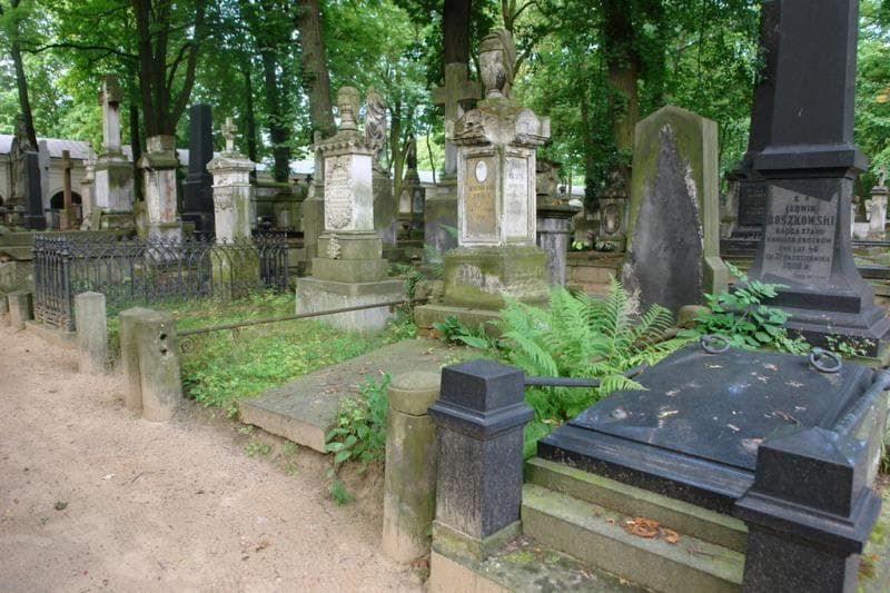 Zdjęcie grobu: Florentyna Braun