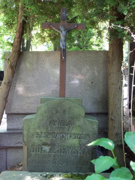Zdjęcie grobu Aniela Gorzejewska (2)